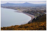 Find the lowest prices for student accommodation in Killiney!